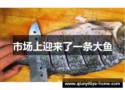 市场上迎来了一条大鱼